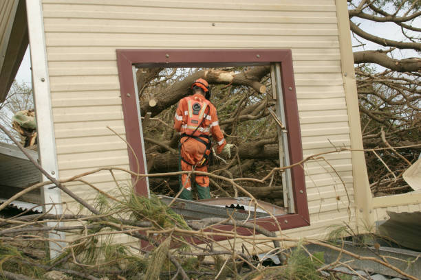 How Our Tree Care Process Works  in  York, NE
